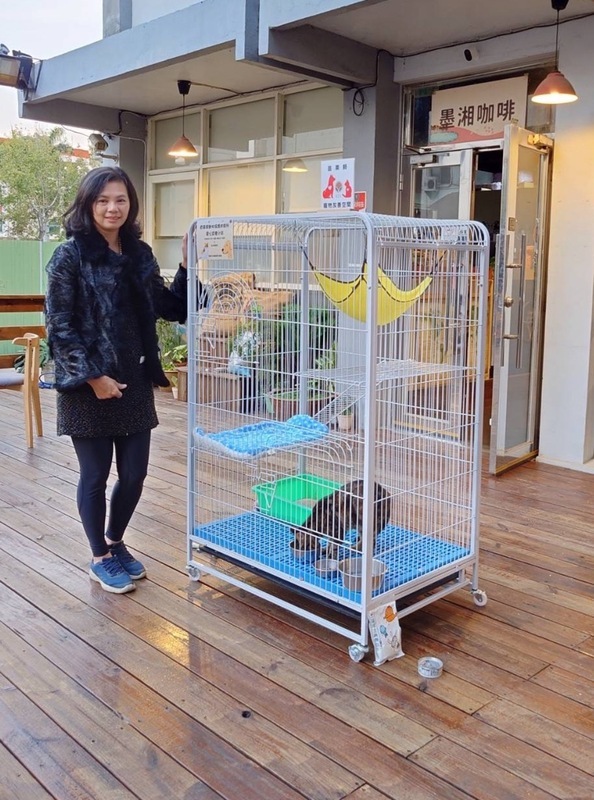 苗縣多元管道推動認養 6愛心小站助毛孩找新家