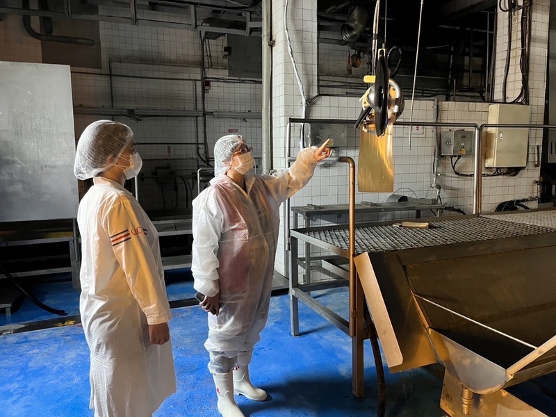 台糖推測委外屠宰污染肉片 信功：是飼養造成