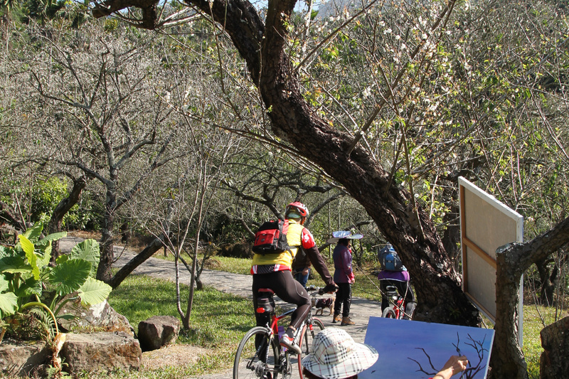 觀光客帶來新商機 梅嶺發展休閒農業成主流