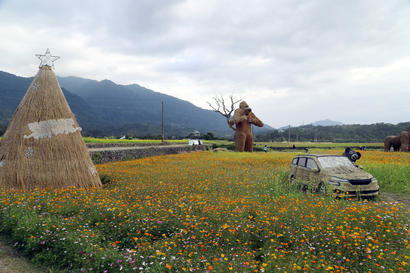 花蓮富里稻草藝術季 花海中佇立裝置藝術好吸睛