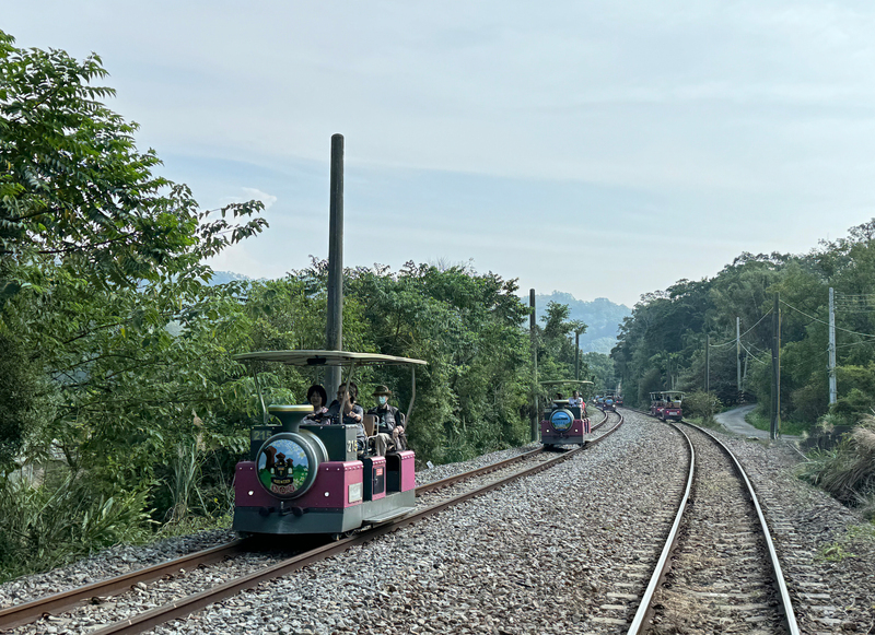 解封後都出國不玩國旅？數據顯示不減反增
