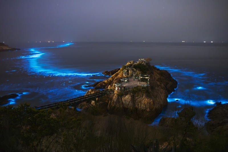 高鐵假期推玩馬祖 3月底前有機會賞藍眼淚