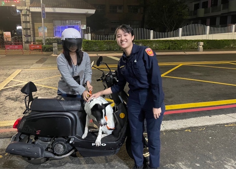 汪星人被鞭炮聲嚇到走失 「搭便車」報警順利返家