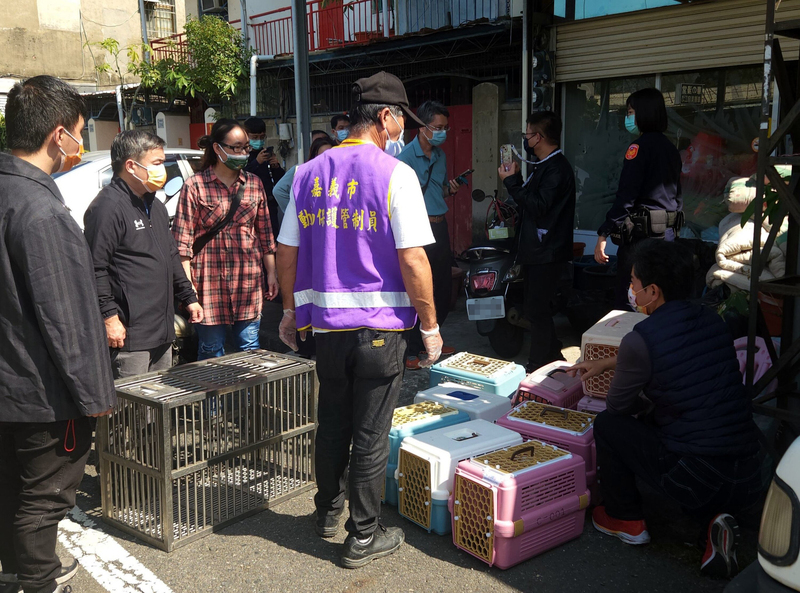 嘉市恐怖飼主花盆藏大量動物骨骸 依動保法送辦