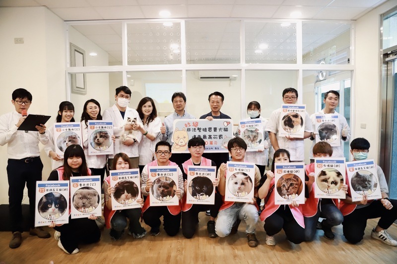 認養喵星人中籤率僅萬分之7.6 翁章梁抽出15愛貓人