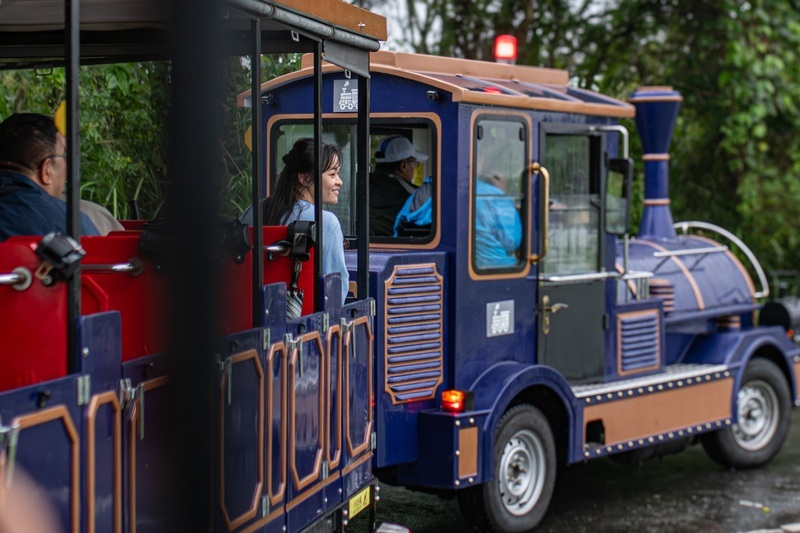 花蓮大農大富平地森林 搭小火車賞螢