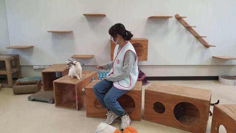 新竹市成立動物管制隊 提升動物救援成功率