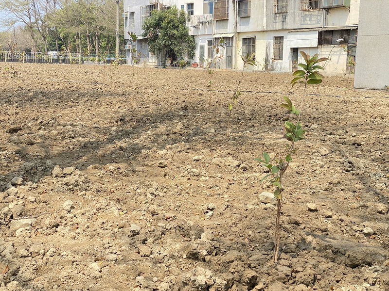 柯文哲農地改善限期已到 竹市：收到恢復農用資料