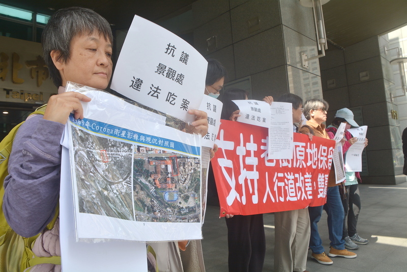 新店青潭國小創校麵包樹 樹保團體盼列珍貴樹木