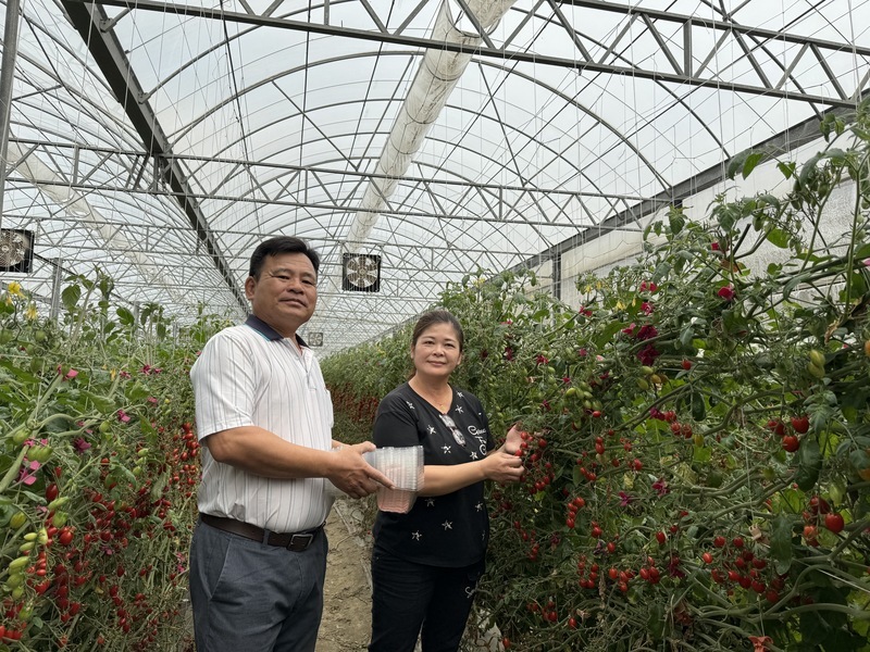 台塑企業推輔導計畫 助麥寮40農戶取得有機驗證