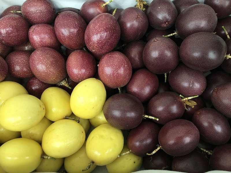 挑百香果3訣竅 有重感、內容物不晃動、果梗淺褐色