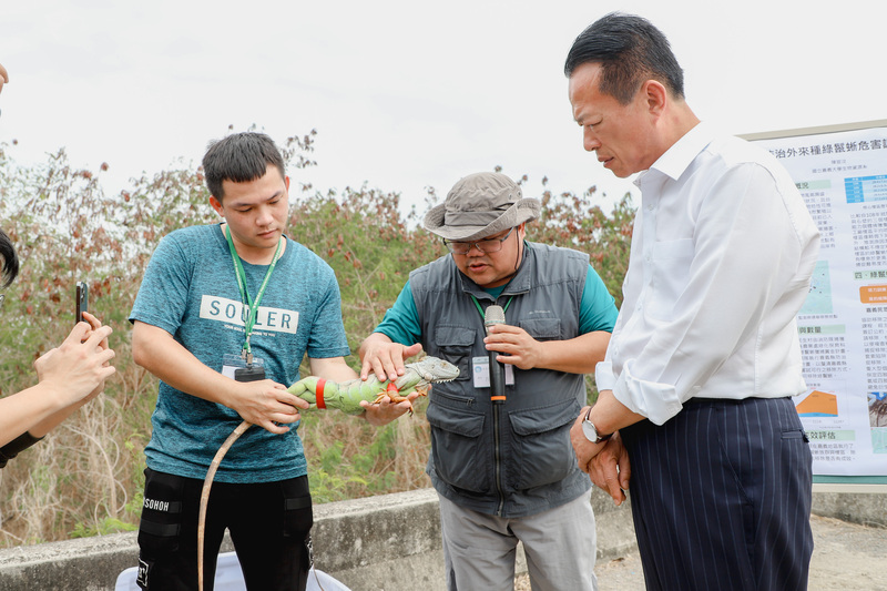 嘉義縣獵龍大隊成軍3年 移除13000隻綠鬣蜥