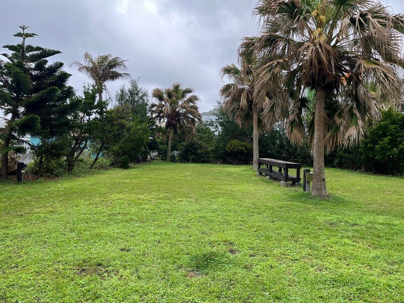 台東首家私人合法露營場 成功鎮比西里岸營地搶頭香
