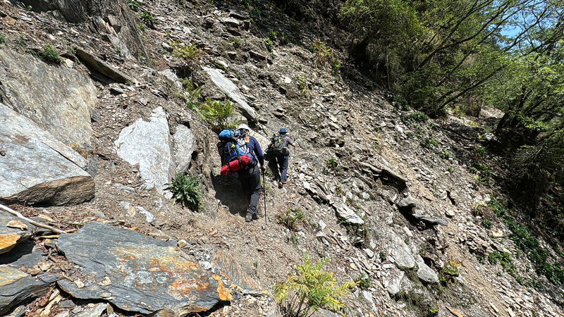 花蓮地震 南投郡大林道4失聯登山客下午脫困