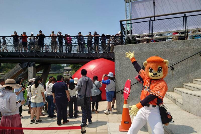 紅球不受破洞影響 移展台南竹溪月見橋人氣旺