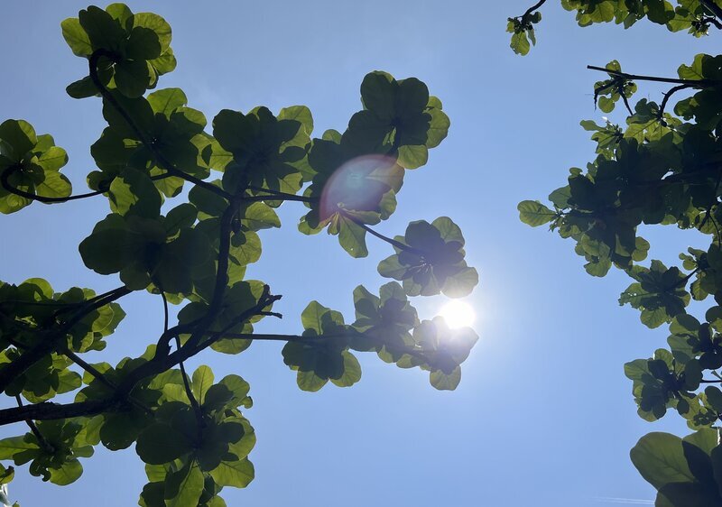 台東留意焚風發生 氣象站呼籲注意防曬
