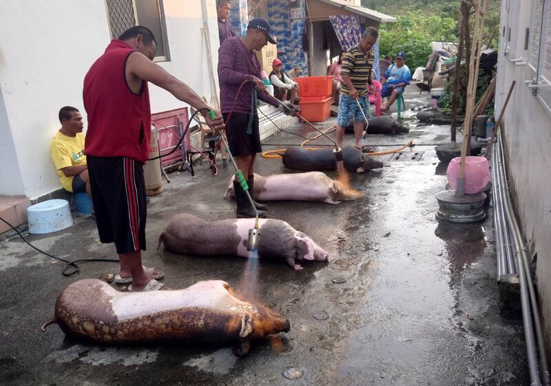 歷經36天700公里奇幻漂流 蘭嶼30年老船華麗轉身