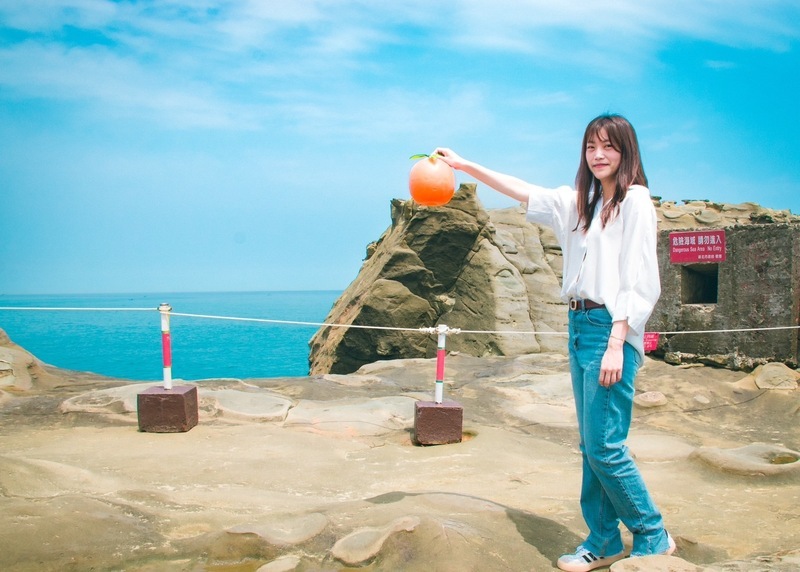 象鼻岩變身水豚君 公所提供水果道具與水豚合影