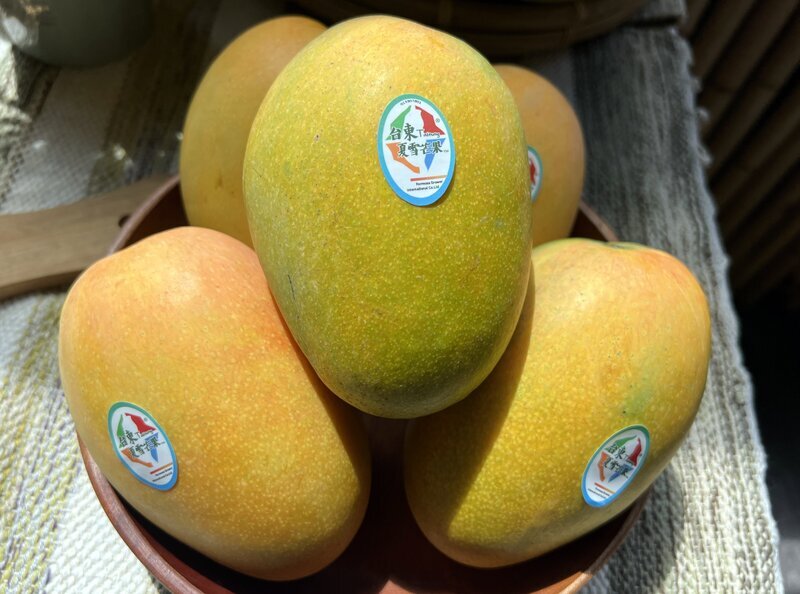 受112年颱風和花期氣候不穩影響 台東夏雪芒果銳減