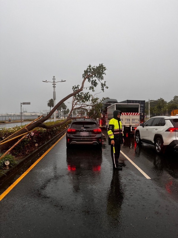 高雄大雨路樹倒塌又一件 自小客車等紅燈被砸