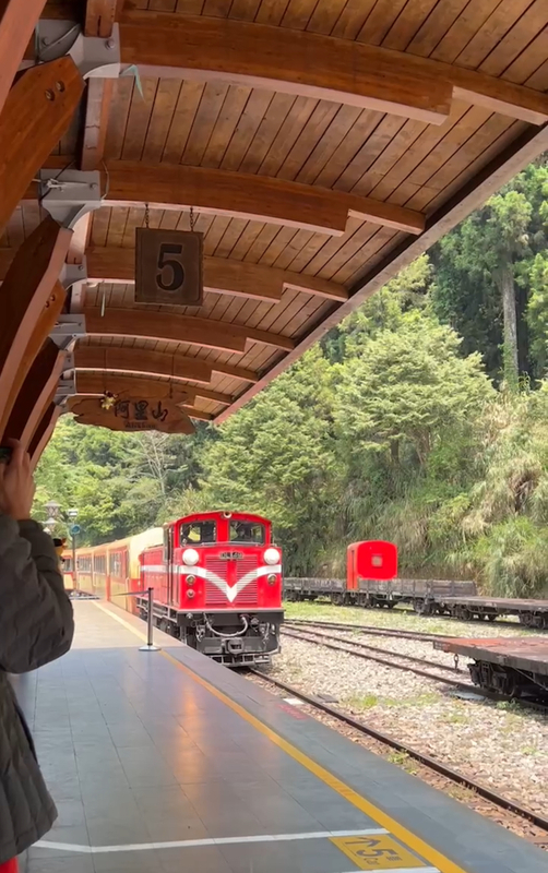 阿里山林鐵暌違9年試運轉成功 擬7/1全線通車