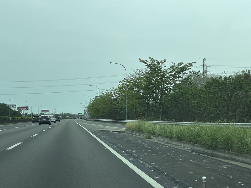 國1北斗路段木棉花絮滿天飛 國道警籲專心開車