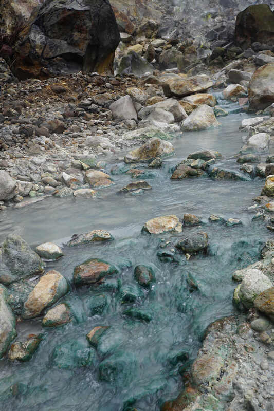 陽明山發現新物種 中山大學解謎「溫泉紅藻」