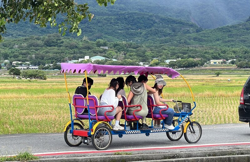 池上拼裝電動車事故已釀2死 議員疾呼立法規範