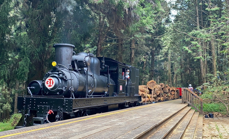 林業署疏伐阿里山人造林 推國產木材兼多元發展