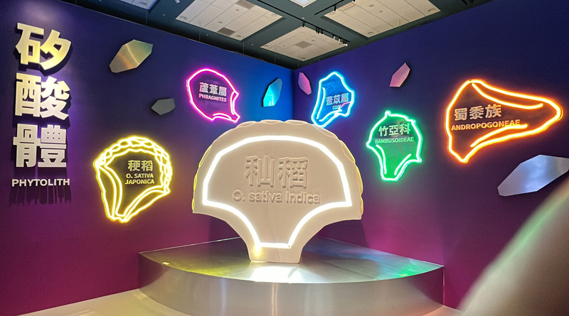 史前館特展「微觀．史觀」 窺千年台灣與世界連結