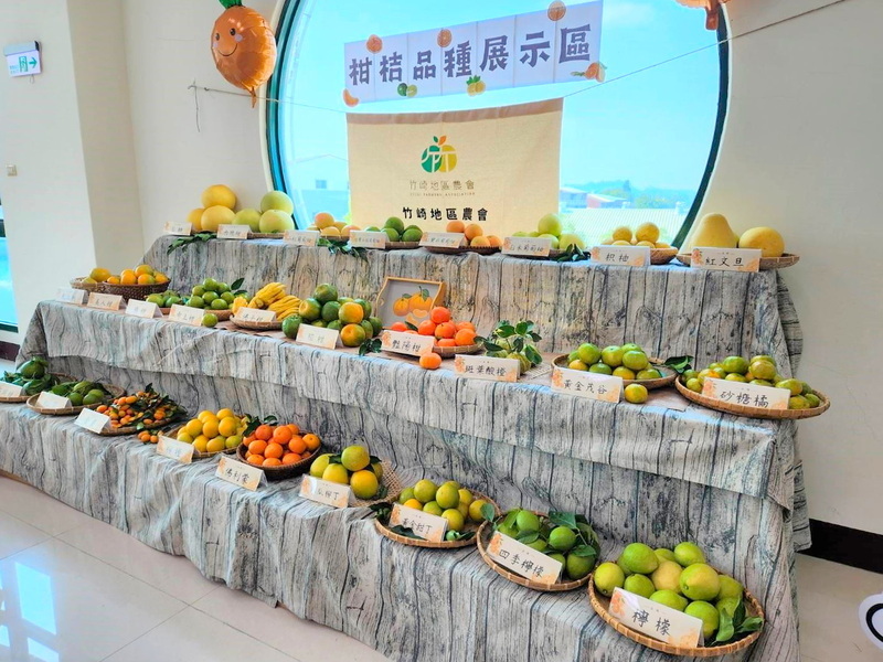 柑橘類保險開賣 嘉縣農民最低自付保費2成