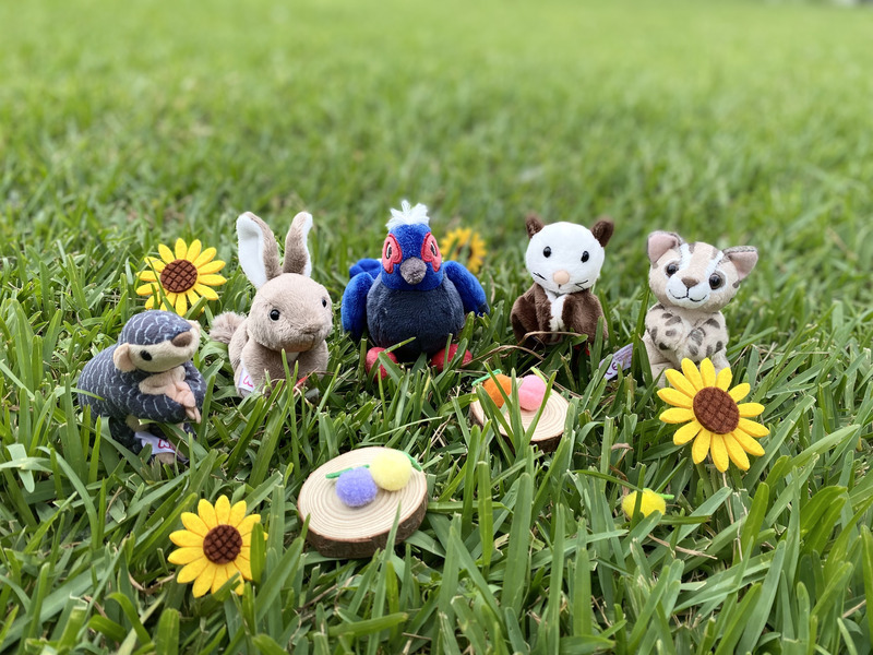 5種台灣原生動物票選 傳遞山林永續保育