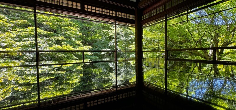 日本京都瑠璃光院青楓亮眼 遊客互讓位子捕捉美景