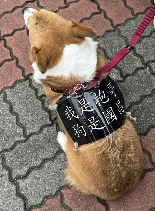 台南青鳥行動 民眾巴克禮教會聚集反國會濫權