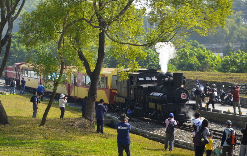開火車的機會來了 阿里山林鐵招募儲備司機