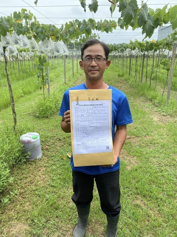 無農藥方式種葡萄護農地 吳武銘盼環境永續發展