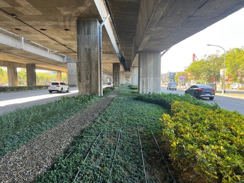 中市府攜手台積電 推動分隔島綠美化作業