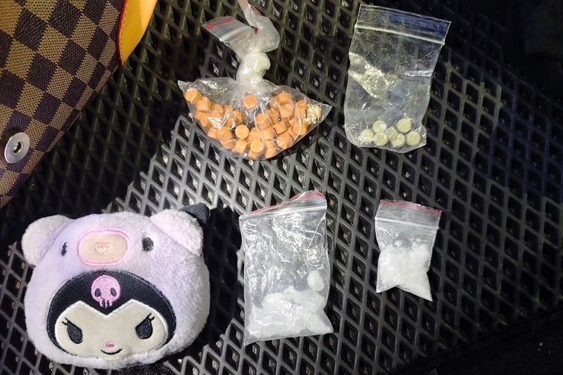 通緝犯接機車輛藏毒 辯稱是中藥粉仍遭航警識破