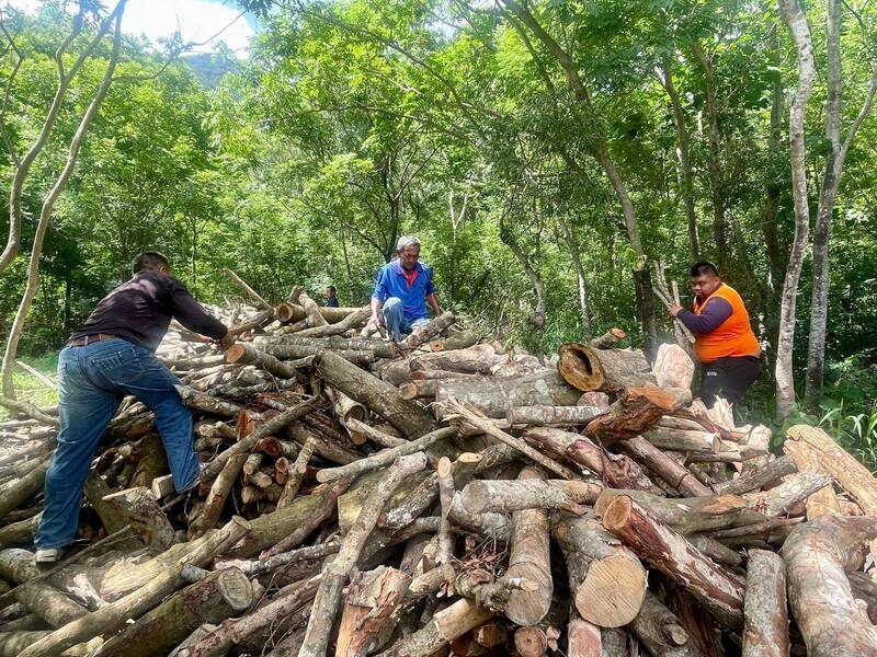 國有林剩餘資材開放撿拾屏東原鄉村民好評 延至7/10