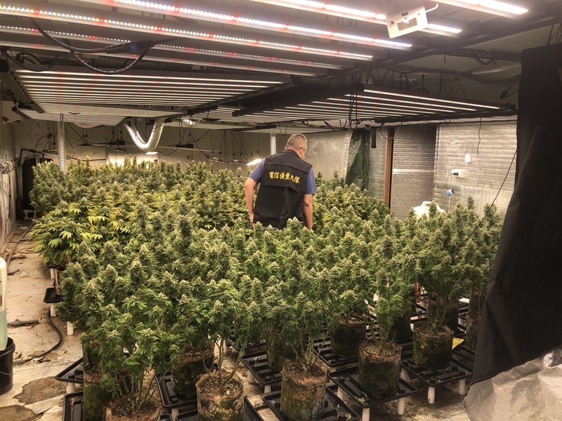 在台中彰化用貨櫃種大麻 刑事局破獲逮捕4人送辦