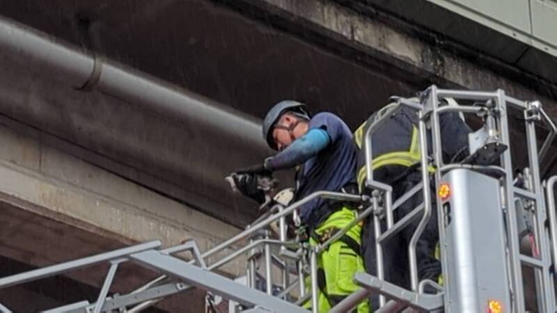 小貓困20公尺高架橋 基隆消防出動雲梯車救援