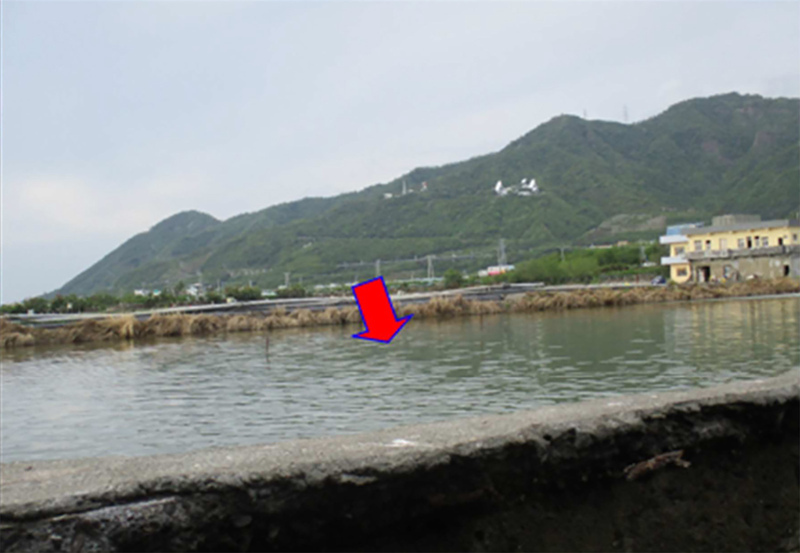 持有人積欠所得稅 屏東枋山附透天厝魚塭法拍