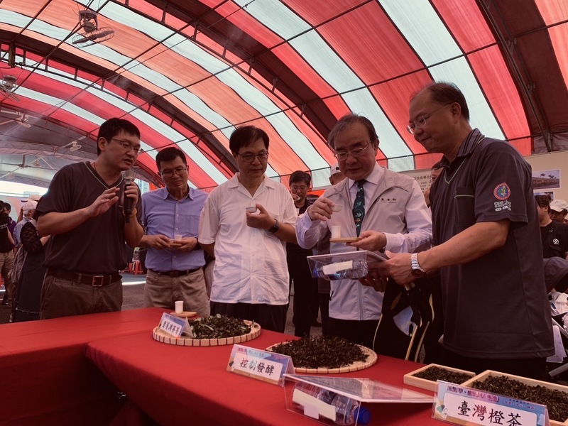 茶改場「臺灣橙茶」新製程 散發獨特花果香