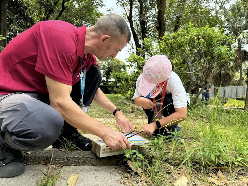 英速魔法學院參與低 新北：疫情影響、已漸提升