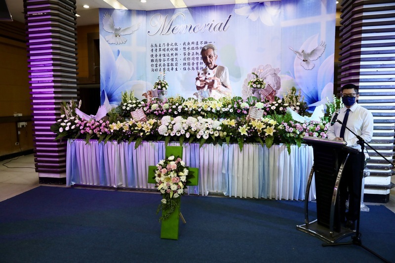 「愛貓天使」馬爺爺辭世 將樹葬長眠高雄燕巢