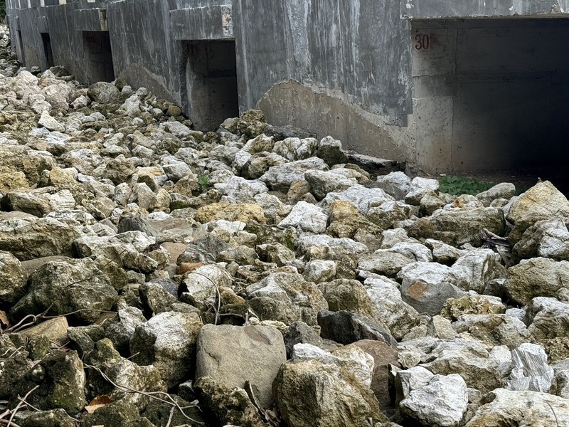 墾丁打造生態廊道3.0 保護陸蟹穿越馬路