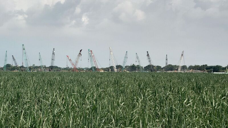 台糖馬稠後產業園區招商 引進台積電上下游廠商