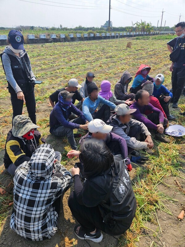 移民署台南市專勤隊破獲非法仲介集團 逮捕16人