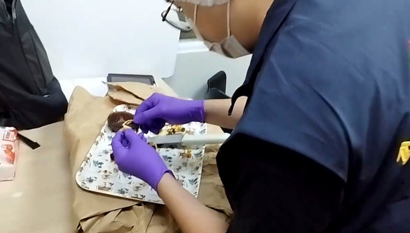 網友稱蛋黃酥有小強 中市府稽查未發現病媒