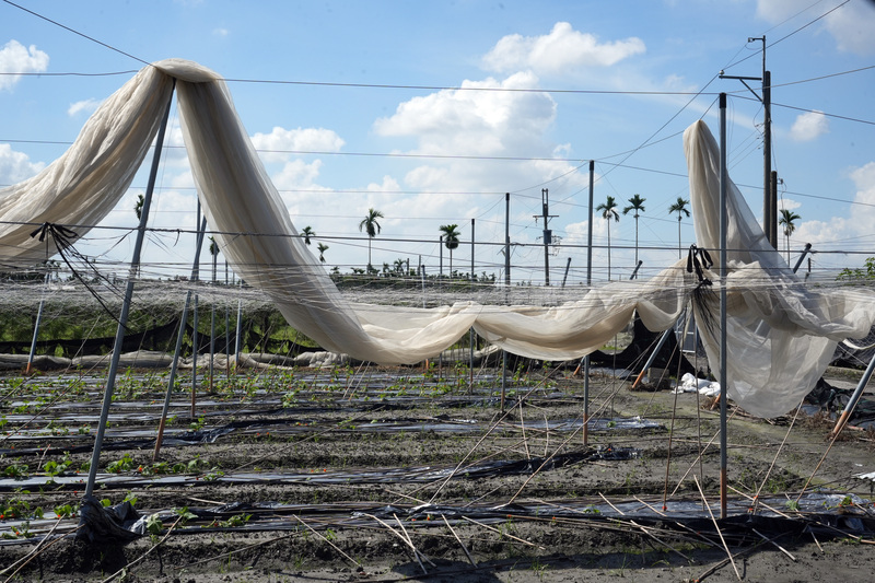 颱風山陀兒致災 農業部公告高屏全品項現金救助